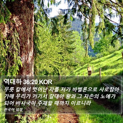 역대하 36:20 KOR Bible Verse Image
