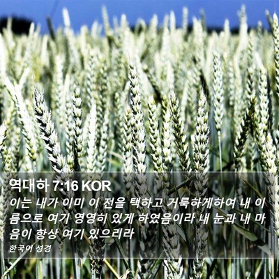 역대하 7:16 KOR Bible Verse Image