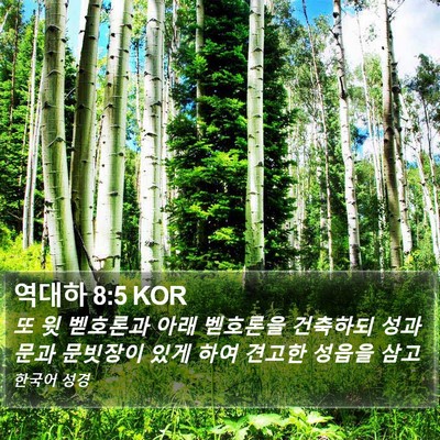 역대하 8:5 KOR Bible Verse Image