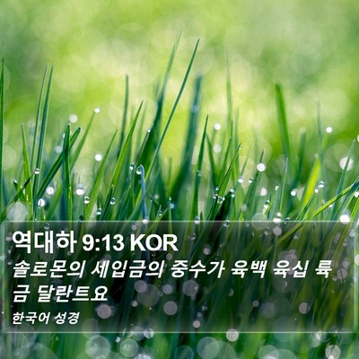 역대하 9:13 KOR Bible Verse Image