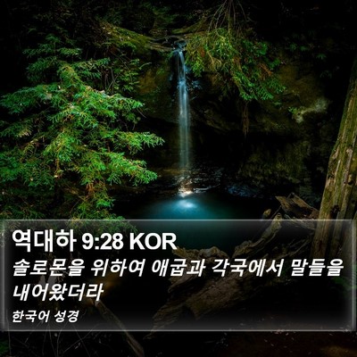 역대하 9:28 KOR Bible Verse Image