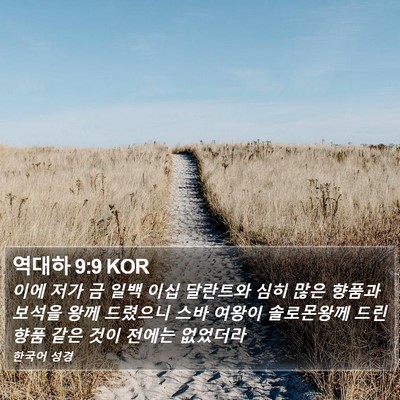 역대하 9:9 KOR Bible Verse Image