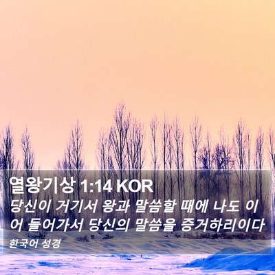 열왕기상 1:14 KOR Bible Verse Image