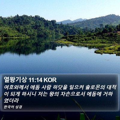 열왕기상 11:14 KOR Bible Verse Image