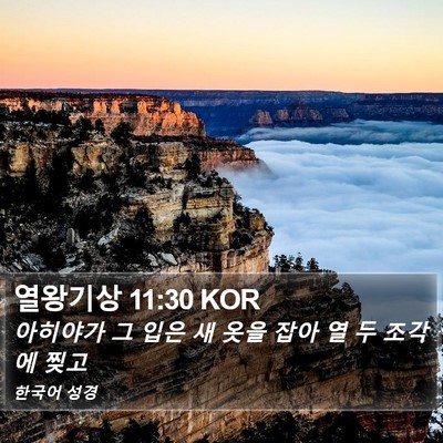 열왕기상 11:30 KOR Bible Verse Image