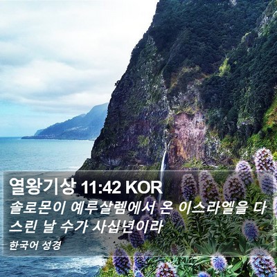 열왕기상 11:42 KOR Bible Verse Image