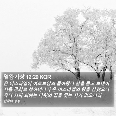 열왕기상 12:20 KOR Bible Verse Image
