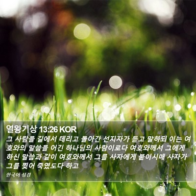 열왕기상 13:26 KOR Bible Verse Image