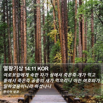 열왕기상 14:11 KOR Bible Verse Image