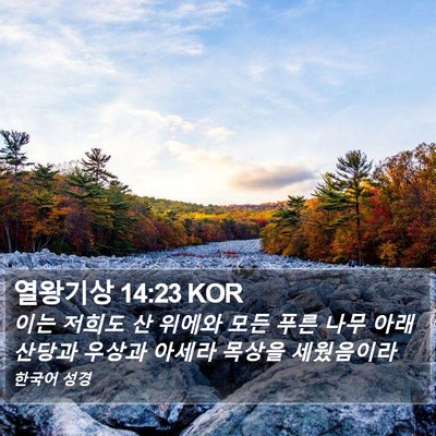 열왕기상 14:23 KOR Bible Verse Image