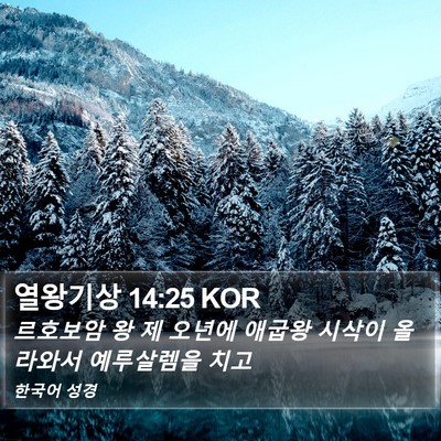 열왕기상 14:25 KOR Bible Verse Image