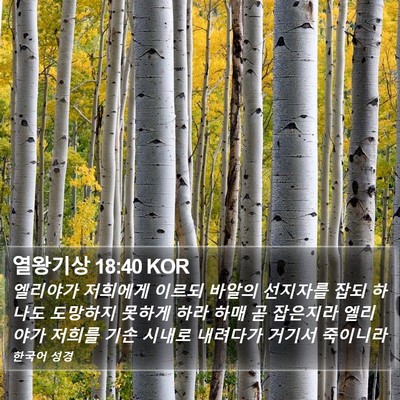 열왕기상 18:40 KOR Bible Verse Image