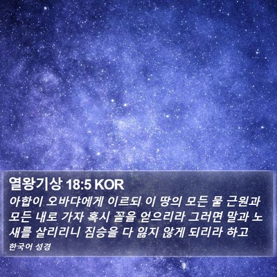 열왕기상 18:5 KOR Bible Verse Image