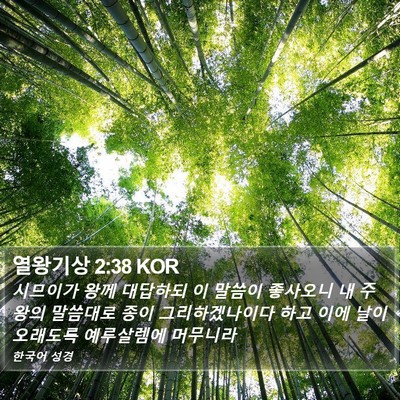 열왕기상 2:38 KOR Bible Verse Image