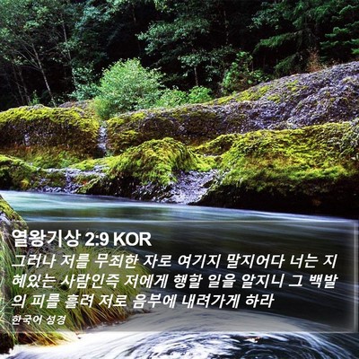 열왕기상 2:9 KOR Bible Verse Image