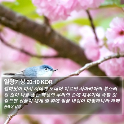 열왕기상 20:10 KOR Bible Verse Image