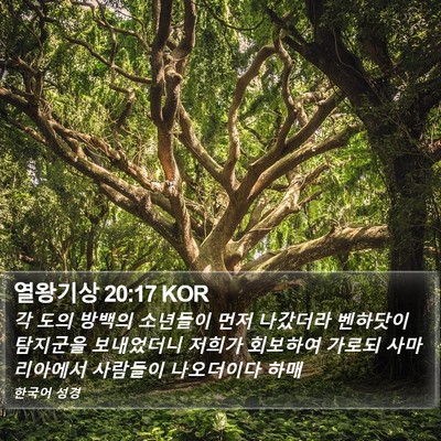 열왕기상 20:17 KOR Bible Verse Image