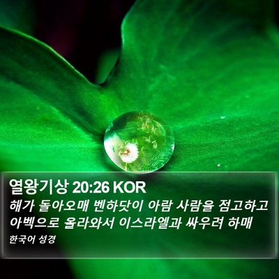 열왕기상 20:26 KOR Bible Verse Image