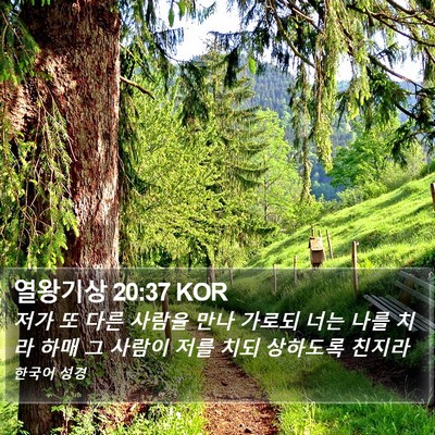 열왕기상 20:37 KOR Bible Verse Image