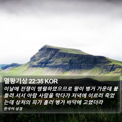 열왕기상 22:35 KOR Bible Verse Image