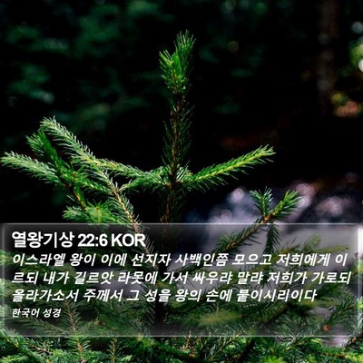 열왕기상 22:6 KOR Bible Verse Image