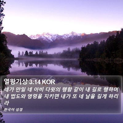 열왕기상 3:14 KOR Bible Verse Image
