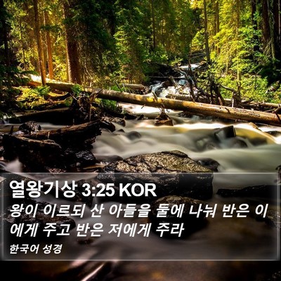 열왕기상 3:25 KOR Bible Verse Image
