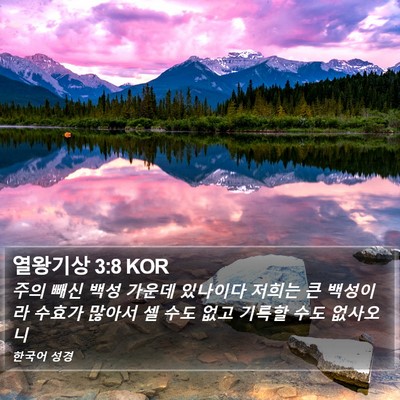 열왕기상 3:8 KOR Bible Verse Image