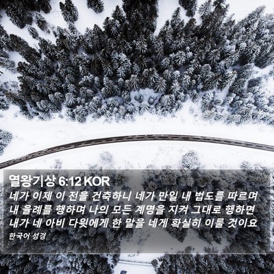 열왕기상 6:12 KOR Bible Verse Image