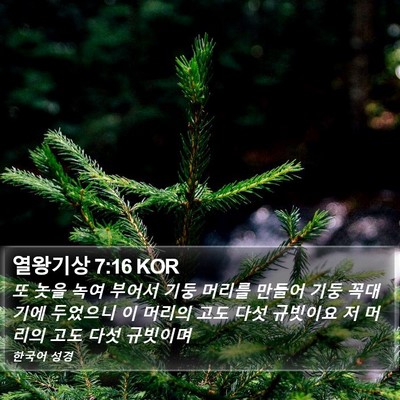 열왕기상 7:16 KOR Bible Verse Image