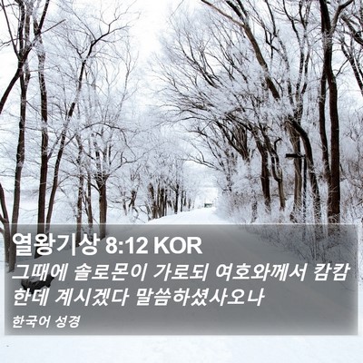 열왕기상 8:12 KOR Bible Verse Image