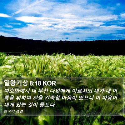 열왕기상 8:18 KOR Bible Verse Image