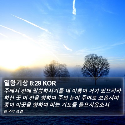 열왕기상 8:29 KOR Bible Verse Image