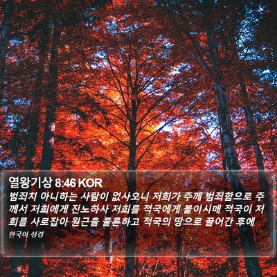 열왕기상 8:46 KOR Bible Verse Image