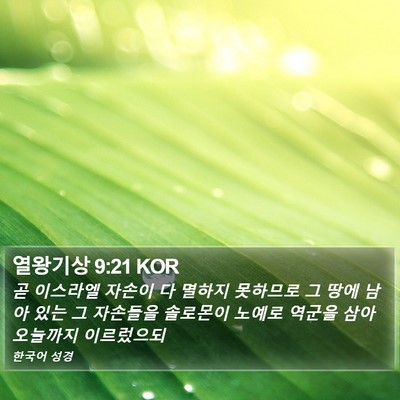 열왕기상 9:21 KOR Bible Verse Image