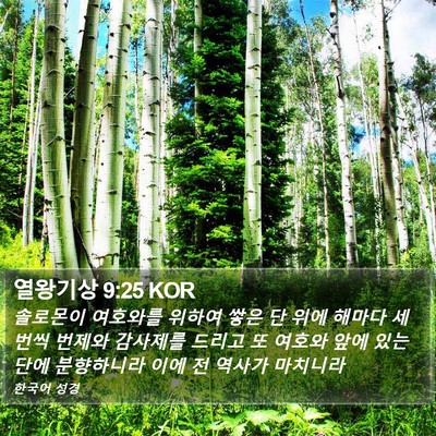 열왕기상 9:25 KOR Bible Verse Image