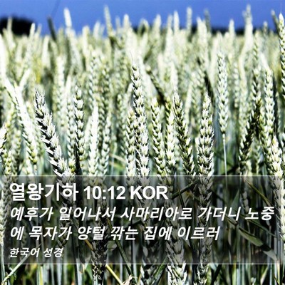 열왕기하 10:12 KOR Bible Verse Image