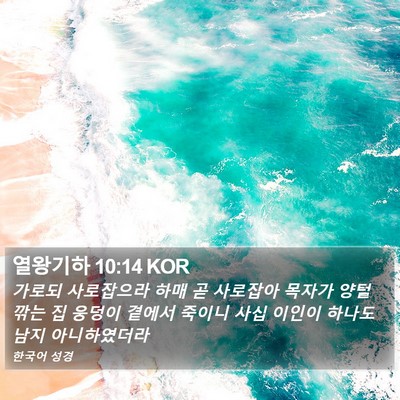 열왕기하 10:14 KOR Bible Verse Image