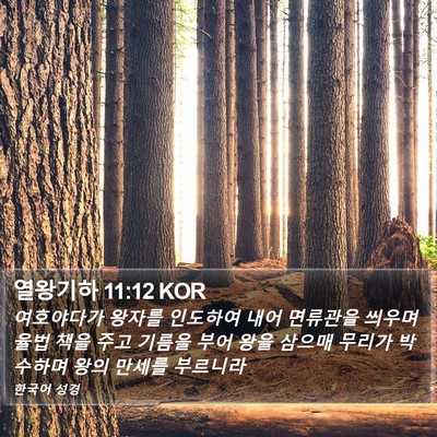 열왕기하 11:12 KOR Bible Verse Image