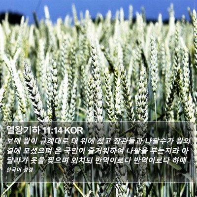 열왕기하 11:14 KOR Bible Verse Image