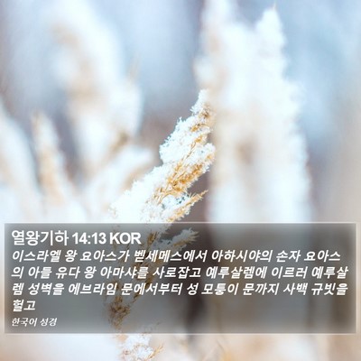열왕기하 14:13 KOR Bible Verse Image