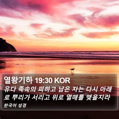 열왕기하 19:30 KOR Bible Verse Image