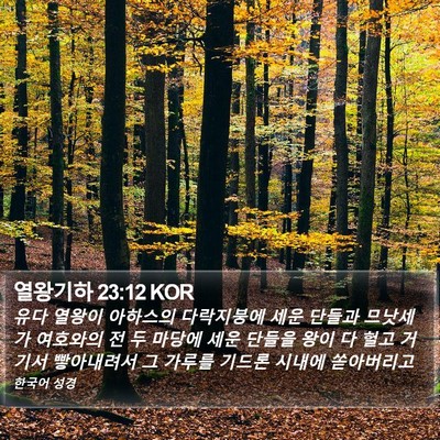 열왕기하 23:12 KOR Bible Verse Image