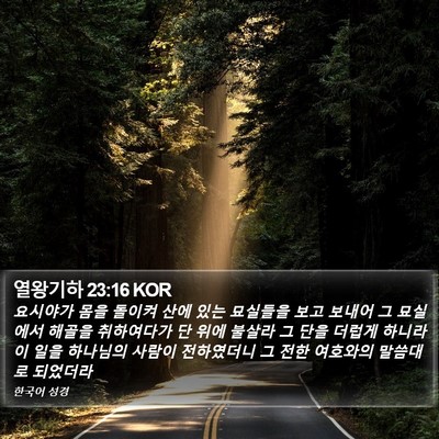 열왕기하 23:16 KOR Bible Verse Image