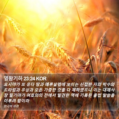 열왕기하 23:24 KOR Bible Verse Image