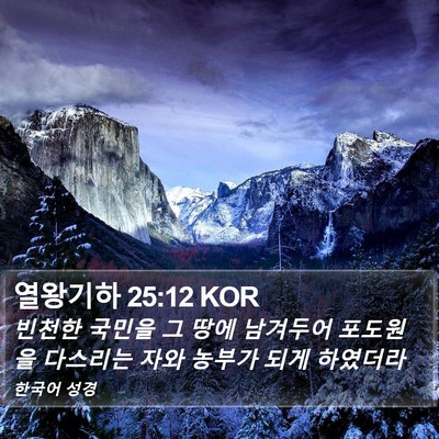 열왕기하 25:12 KOR Bible Verse Image