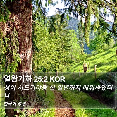 열왕기하 25:2 KOR Bible Verse Image