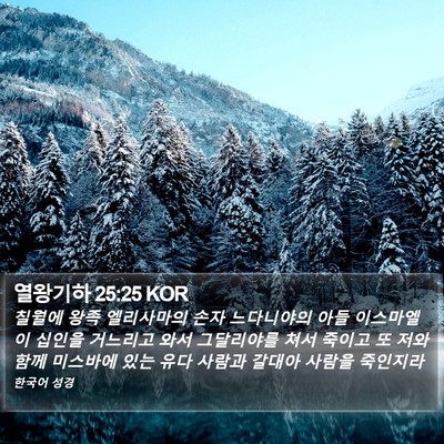 열왕기하 25:25 KOR Bible Verse Image