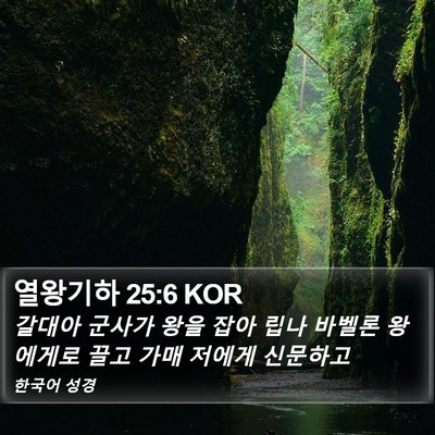 열왕기하 25:6 KOR Bible Verse Image