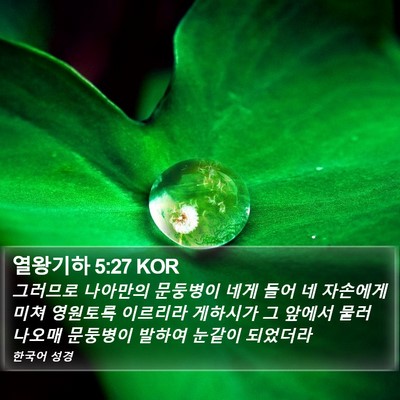 열왕기하 5:27 KOR Bible Verse Image